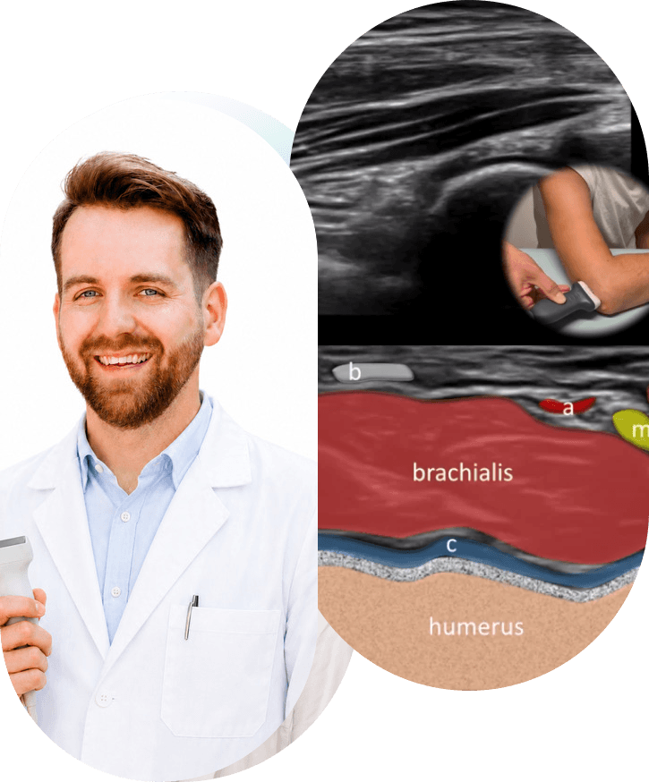 Jakub Jačisko performing musculoskeletal ultrasound with anatomy overlay