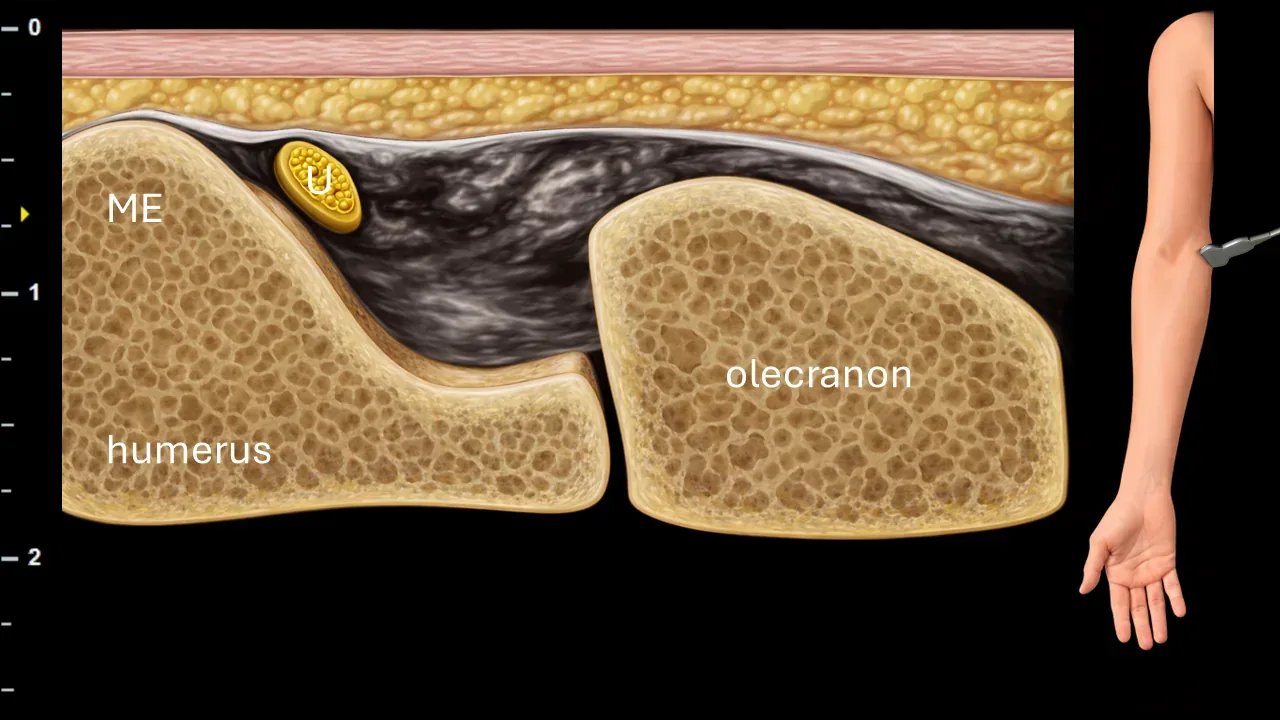 Figure 4 with labels