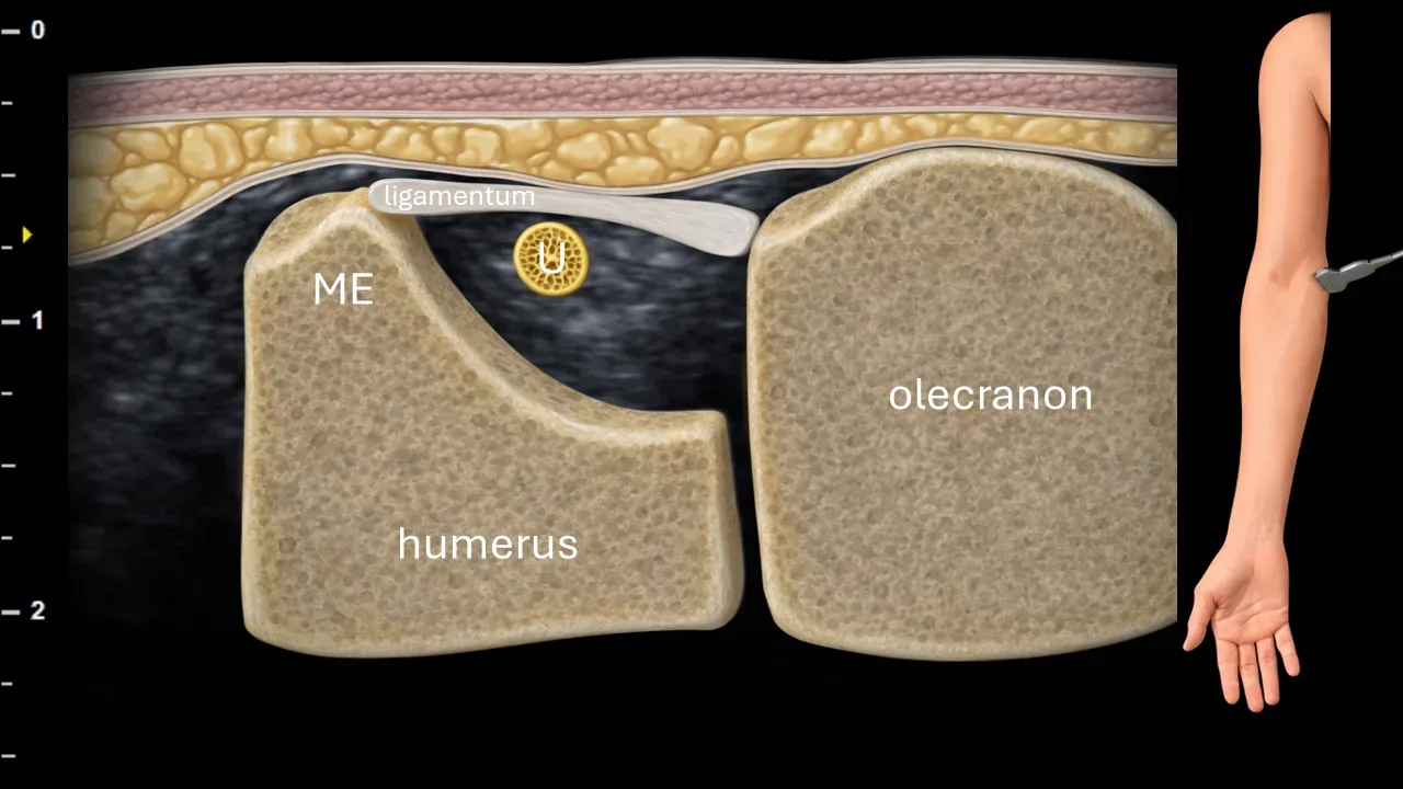 Figure 5 with labels