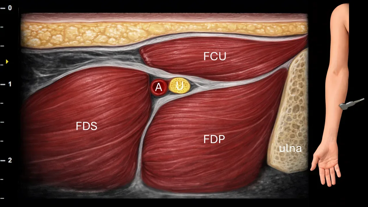 Figure 8 with labels