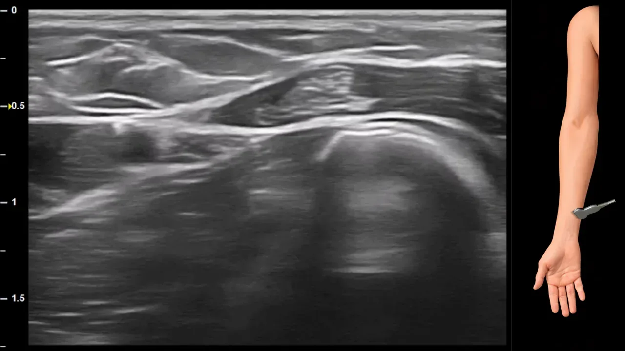Figure 10 without labels