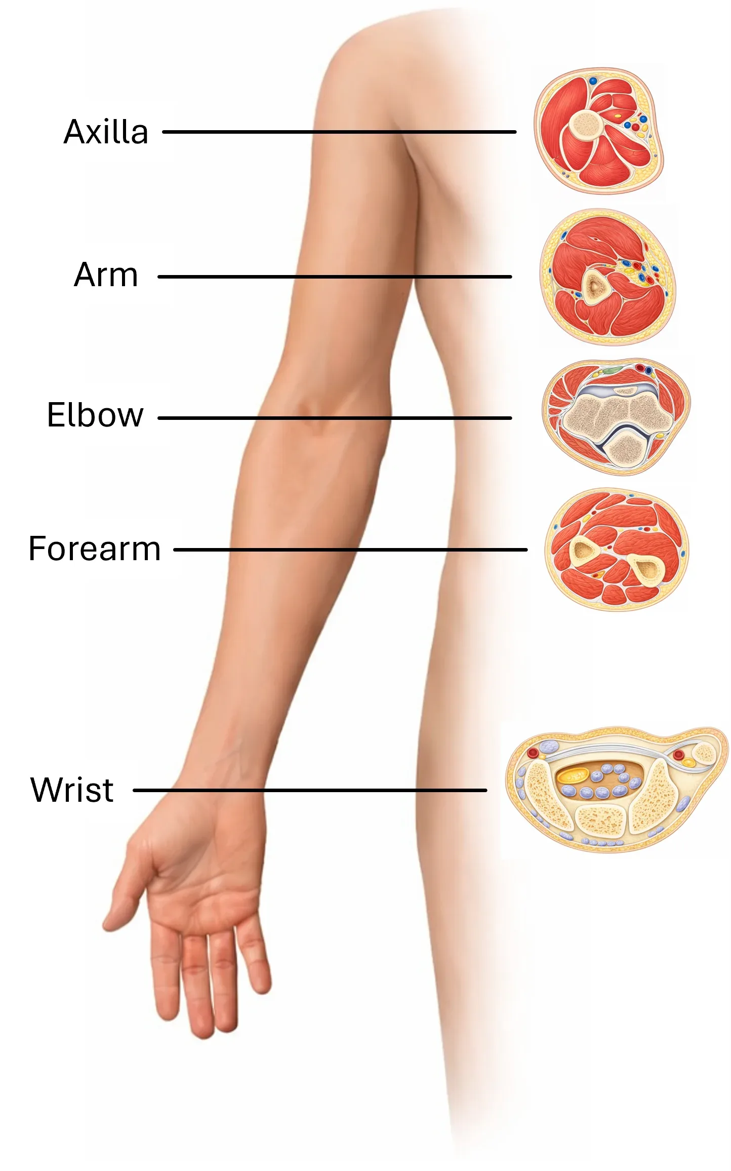 Overview of key cross sections