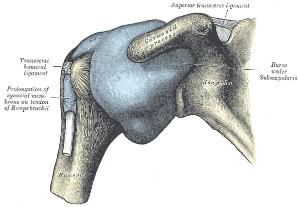 Gallery image 2