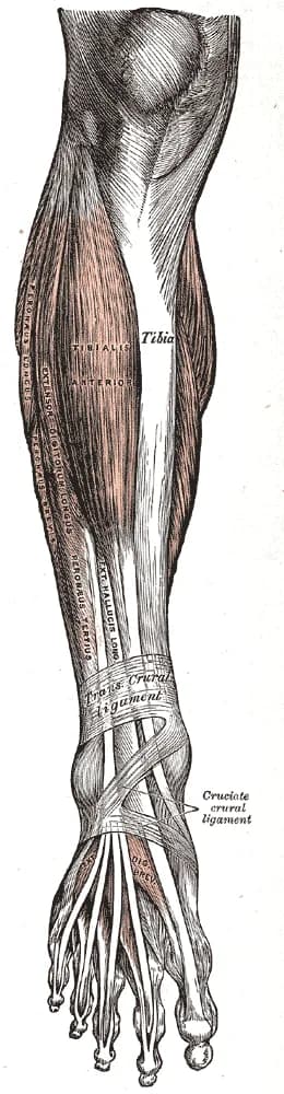 Gallery image 1