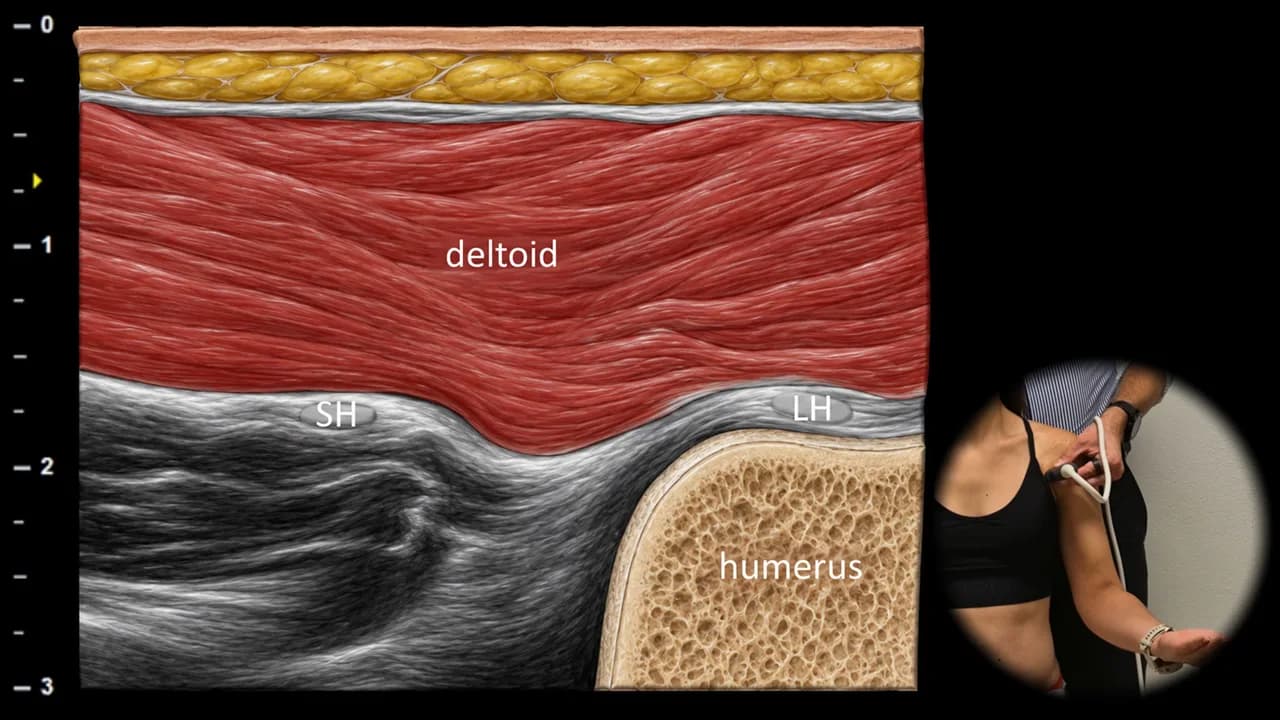 Figure 5 with labels