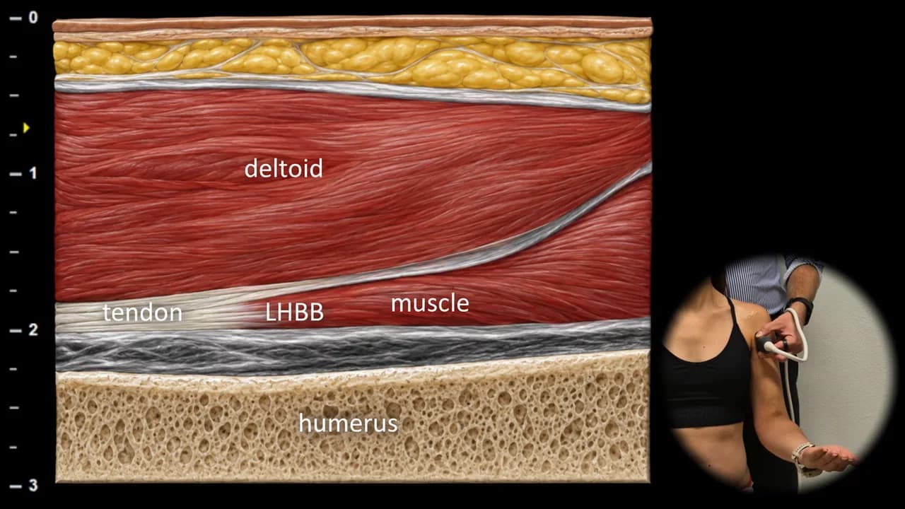 Figure 4 with labels
